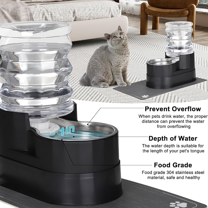 RIZZARI 5L Automatic Cat Water Dispenser: Elevated Filtered Cat Bowl | Durable Construction/Stable Base/Gravity Water Flow/Odor Reduction Filter/Elevated Drinking Position/Ideal for Indoor Spaces