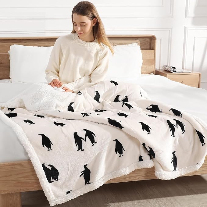 Heated Blanket Twin Electric Blanket 62"x84" Heating Blanket, Upgraded Ultra Comfortable Sherpa Twin Size Heated Blanket with 5 Heating Levels & 10 Hrs Auto-Off, Machine Washable, Ideal Gift