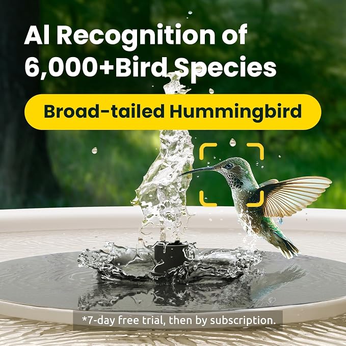 Smart Bird Bath with Camera Solar Powered & Solar Fountain & Stand, Dual-Lens Camera for Bird Watching in Phone, Auto Capture Bird Videos, Ideal Present for Bird Lover (AI by Subscription)