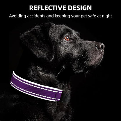 Upgrade Dog Collar with AirTag Holder, IP68 Waterproof, Grape Purple, M | Built-in Water Resistant AirTag holder, 1000D Nylon, Reflective Stitching for Night Visibility, Soft padding for Comfort