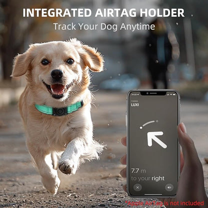 Upgrade Dog Collar with AirTag Holder, IP68 Waterproof, Aqua, S | Built-in Water Resistant AirTag holder, 1000D Nylon, Reflective Stitching for Night Visibility, Soft padding for Comfort
