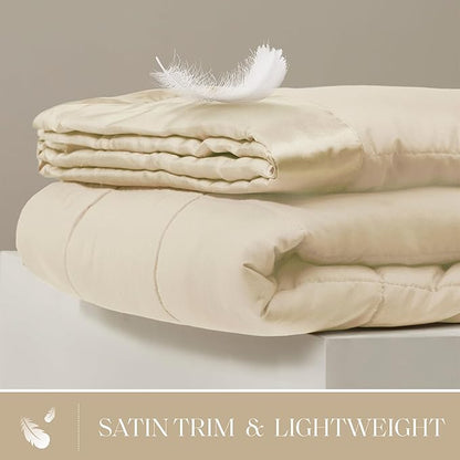 Madison Park Windom Down Alternative Blanket, Premium 3M Scotchgard Moisture Wicking Treatment, Lightweight and Soft Bed Cover For All Season, Satin Trim, Cream Twin