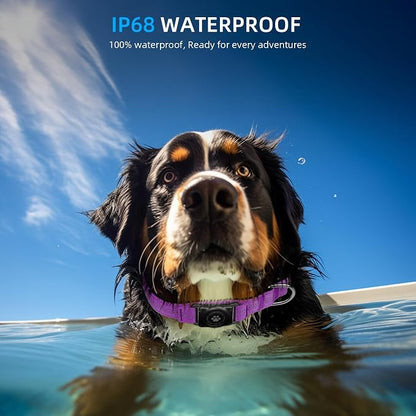 Upgrade Dog Collar with AirTag Holder, IP68 Waterproof, Purple, M | Built-in Water Resistant AirTag holder, 1000D Nylon, Reflective Stitching for Night Visibility, Soft padding for Comfort