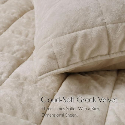 KASENTEX Greek Velvet Queen Quilt Set, 3× Softer Luxe Sheen, 100% Cotton Backing, 150GSM Down-Alternative Fill, Expanded 98×98" Coverage for Fuller Side Drape (1 Quilt + 2 Pillow Shams), Sandshell