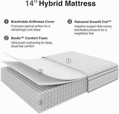 Novilla 14 Inch Queen Mattress, Hybrid Queen Size Mattresses in a Box with Smarts™ Coil Pocket Spring for Pressure Relief, Medium Firm Colchones with Comfort Foam, CertiPUR-US Certified