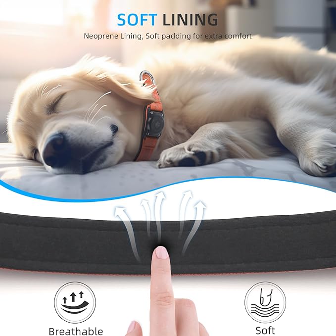 Upgrade Dog Collar with AirTag Holder, IP68 Waterproof, Orange, M | Built-in Water Resistant AirTag holder, 1000D Nylon, Reflective Stitching for Night Visibility, Soft padding for Comfort