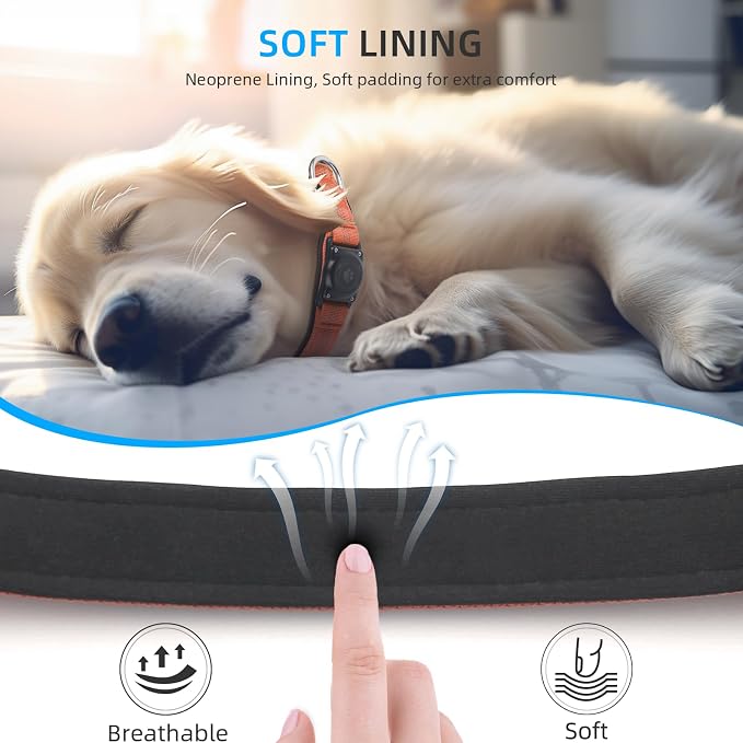 Upgrade Dog Collar with AirTag Holder, IP68 Waterproof, Orange, XL | Built-in Water Resistant AirTag holder, 1000D Nylon, Reflective Stitching for Night Visibility, Soft padding for Comfort