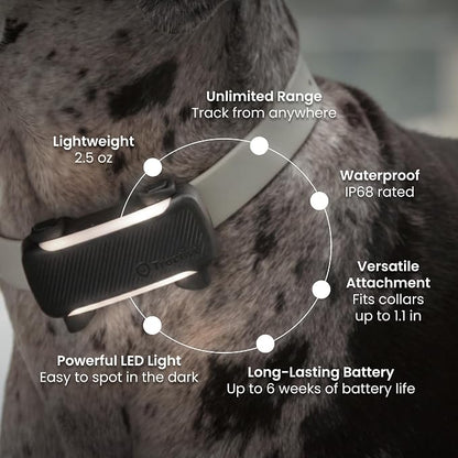 Tractive XL Smart Dog GPS Tracker | Live Pet Tracker with Virtual Fence | Vital Signs Monitoring of Heart & Respiratory Rate | Up to 6-Weeks Battery Life | Dog Collar Attachment (Black)