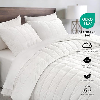 Greek Velvet Twin Quilt Set, 3× Softer Luxe Sheen, 100% Cotton Backing, 150GSM Down-Alternative Fill, Expanded 68×90" Coverage for Fuller Side Drape (1 Quilt + 1 Pillow Shams), Brilliant White
