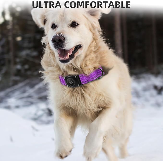 Upgrade Dog Collar with AirTag Holder, IP68 Waterproof, Grape Purple, XL | Built-in Water Resistant AirTag holder, 1000D Nylon, Reflective Stitching for Night Visibility, Soft padding for Comfort