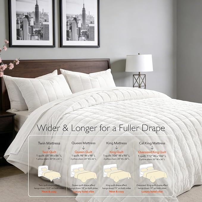 Greek Velvet Twin Quilt Set, 3× Softer Luxe Sheen, 100% Cotton Backing, 150GSM Down-Alternative Fill, Expanded 68×90" Coverage for Fuller Side Drape (1 Quilt + 1 Pillow Shams), Brilliant White