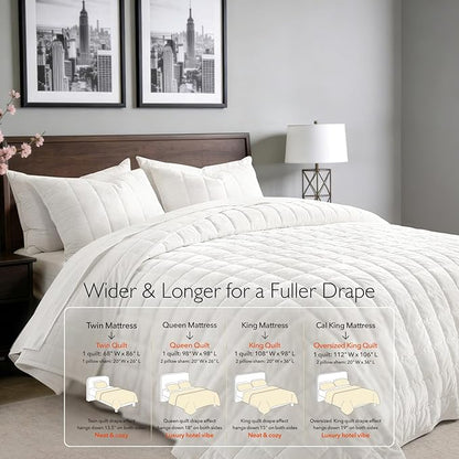 Greek Velvet Twin Quilt Set, 3× Softer Luxe Sheen, 100% Cotton Backing, 150GSM Down-Alternative Fill, Expanded 68×90" Coverage for Fuller Side Drape (1 Quilt + 1 Pillow Shams), Brilliant White