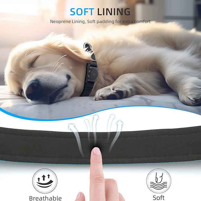 Upgrade Dog Collar with AirTag Holder, IP68 Waterproof, Blue, S | Built-in Water Resistant AirTag holder, 1000D Nylon, Reflective Stitching for Night Visibility, Soft padding for Comfort