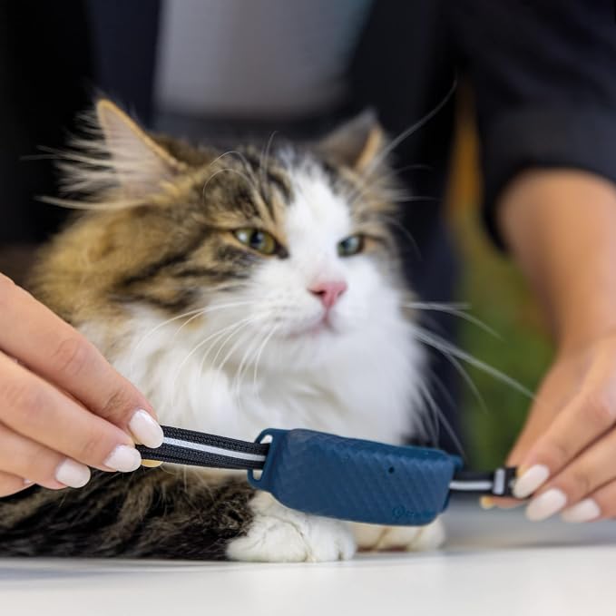 tractive GPS CAT 4 Collar Attachment x3, Midnight Blue, Glow-in-The-Dark, Snow