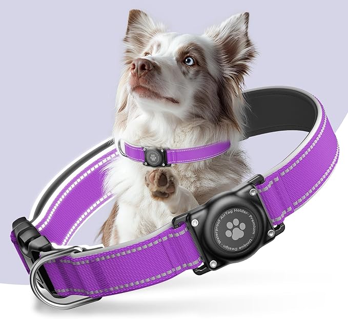 Upgrade Dog Collar with AirTag Holder, IP68 Waterproof, Grape Purple, XL | Built-in Water Resistant AirTag holder, 1000D Nylon, Reflective Stitching for Night Visibility, Soft padding for Comfort