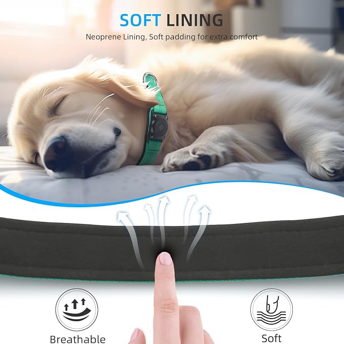 Upgrade Dog Collar with AirTag Holder, IP68 Waterproof, Teal, M | Built-in Water Resistant AirTag holder, 1000D Nylon, Reflective Stitching for Night Visibility, Soft padding for Comfort