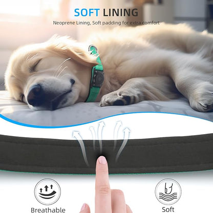 Upgrade Dog Collar with AirTag Holder, IP68 Waterproof, Teal, L | Built-in Water Resistant AirTag holder, 1000D Nylon, Reflective Stitching for Night Visibility, Soft padding for Comfort