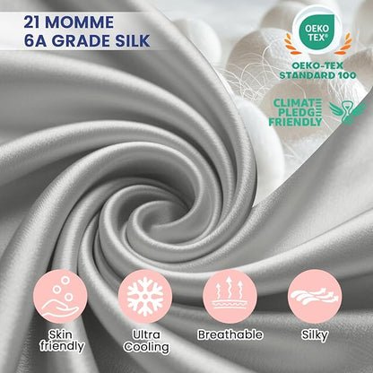Ravmix Silk Pillow Cases with Zipper, 21momme Mulberry Silk Pillowcase for Hair Skin Health, Soft Smooth Breathable Cool Pillow Cover for Beauty Sleep with Gift Box 1PC(Queen 20"x30", Apricot Gray)