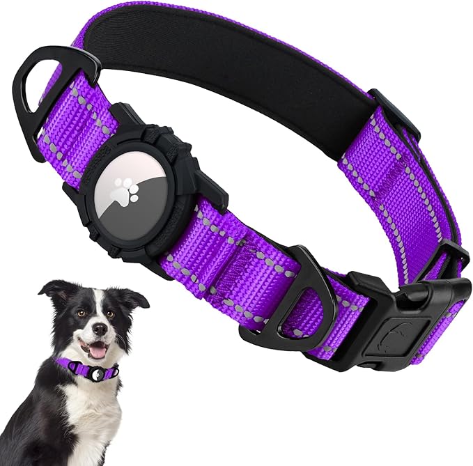 Taglory AirTag Dog Collar with Waterproof Holder for Medium Dogs, Purple, M | Reflective for Night Walks & Low-Light Safety, Track Your Pup Peace of Mind, Adjustable Soft Padded, No More Dangling Tags