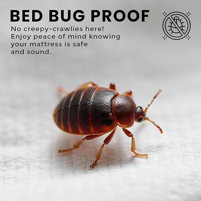 Utopia Bedding Premium Waterproof Bed Bug Mattress Cover, Twin Zippered Mattress Protector, 10 Inches Deep, Dust Mite Proof 6-Sided Mattress Encasement for Bed