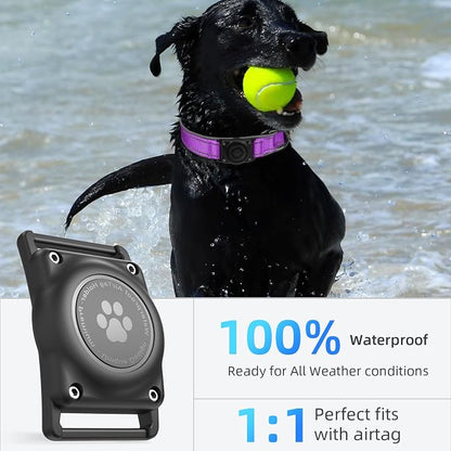 Upgrade Dog Collar with AirTag Holder, IP68 Waterproof, Grape Purple, XL | Built-in Water Resistant AirTag holder, 1000D Nylon, Reflective Stitching for Night Visibility, Soft padding for Comfort