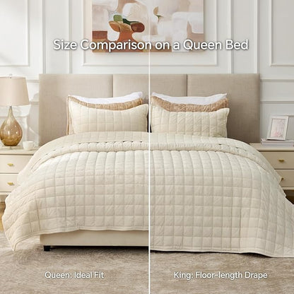 BEDELITE Velvet Quilt Set Queen Size - Luxury Velvet Comforter Bedding Set 3 Pieces, Soft Cozy Cream White Oversized Bedspread Coverlet for All Seasons with 2 Pillow Shams