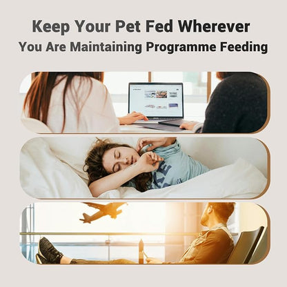 Automatic Cat Feeder: 4L Timed Cats Food Dispenser Programmable | Easy to Set, Dual Power, Precise Portion, Auto Pet Feeder with Desiccant Bag, Detachable Washable for Cats and Small Dog
