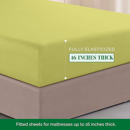 Elegant Comfort Luxurious 1500 Premium Hotel Quality Microfiber Three Line Embroidered Softest 4-Piece Bed Sheet Set, Wrinkle and Fade Resistant, Queen, Pistachio Green