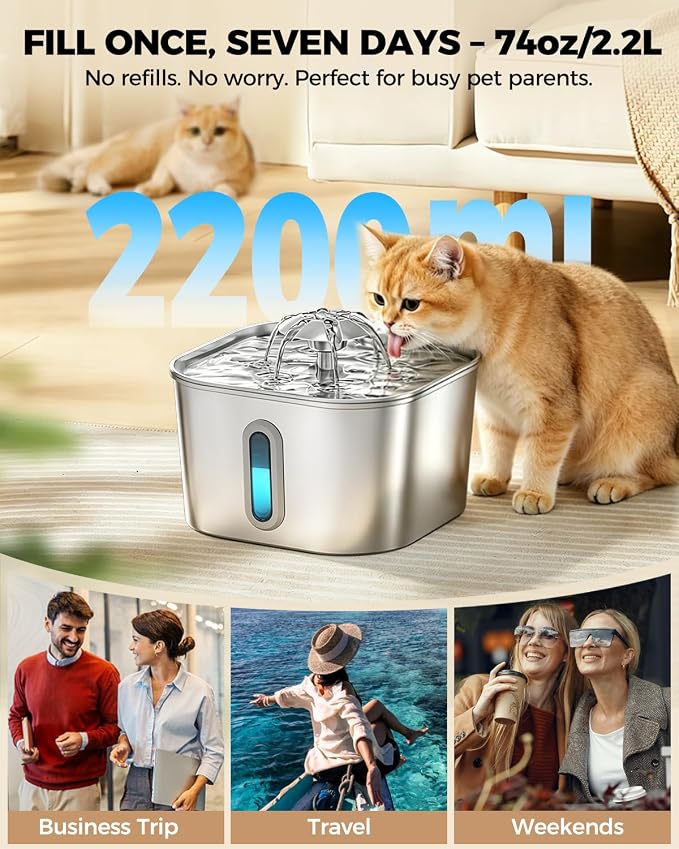 Cat Water Fountain Stainless Steel 74oz/2.2L with 6 Filters & 6 Sponges | Pet Water Dispenser-Indoor Cats Automatic Silent Fountains for Drinking-Metal Small Dog Watering Bowls-Gifts for Kitty Animal