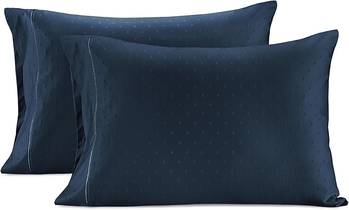 LANE LINEN Pillows Queen Size Set of 2, Soft 100% Egyptian Cotton, Cool & Smooth 1000 Thread Count Pillow Cases - Swiss Dot - Estate Blue