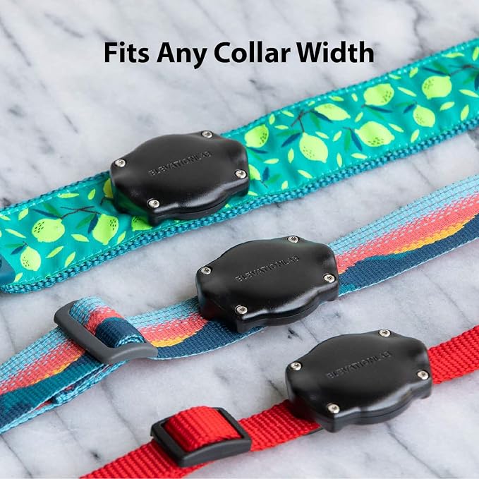 Elevation Lab AirTag Dog Collar Holder - Waterproof (2 Pack) | Secure, Durable, Fits Any Collar Width, Doesn't Dangle, Comfortable