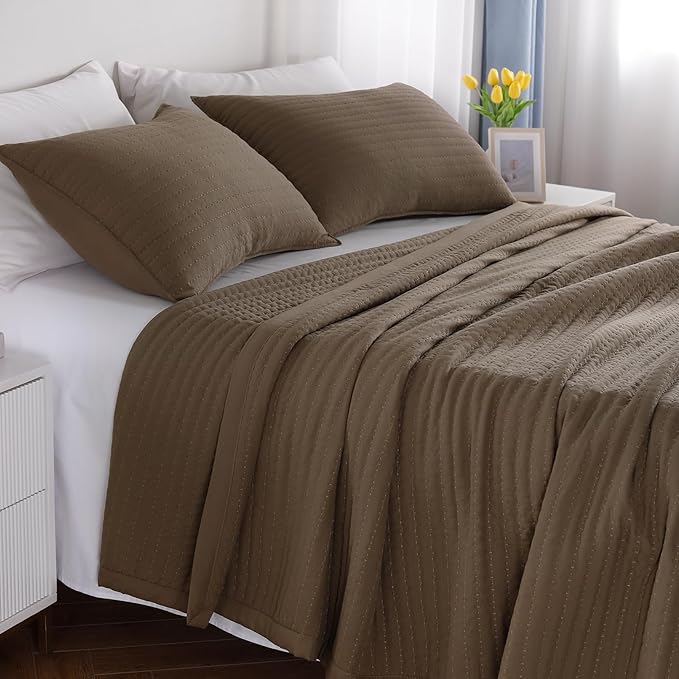 Twin Quilt Set – 68"x86" Soft Washed 3-Layer Lightweight Bedspread with Multi-Lock Quilting, Minimalist Nordic Bedding, All-Season Quilt for Spring, Summer & Fall (1 Quilt + 2 Pillow Shams), Cub