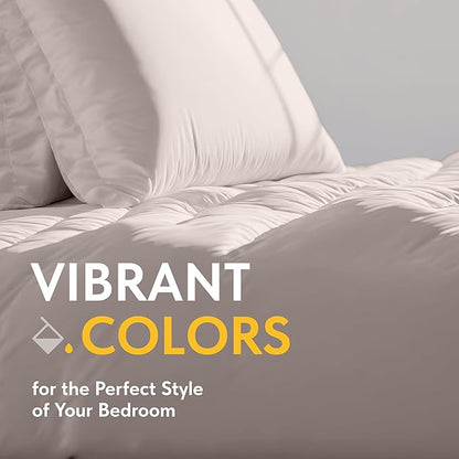 White Classic Beige Duvet Cover Queen Size, Microfiber Duvet Cover with Zipper, Set of 1 Down Comforter Cover with 2 Pillow Shams, Comforter Not Included
