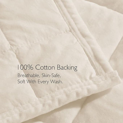 KASENTEX Greek Velvet Twin Quilt Set, 3× Softer Luxe Sheen, 100% Cotton Backing, 150GSM Down-Alternative Fill, Expanded 68×90" Coverage for Fuller Side Drape (1 Quilt + 1 Pillow Shams), Whisper White