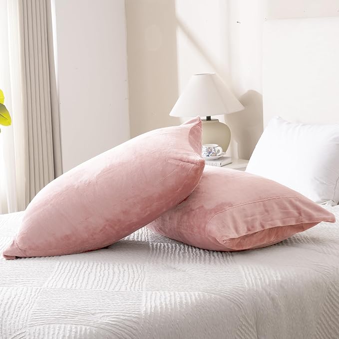 Velvet Queen Pillowcases Standard Size of 2 Pack, Ultra Soft Breathable Pillow Cases with Flap Closure for Bed, Luxury Fuzzy Warm Flannel Velvet Pillow Covers, No Insert (Queen 20x30, Light Mauve)