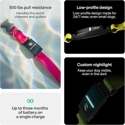 Fi Series 3+ GPS + Health Dog Collar, Blue, Small, 12-Month Membership | Smart GPS dog collar with live tracking, health & behavior, Escape Alerts, LED light. Waterproof and Apple Watch compatible.