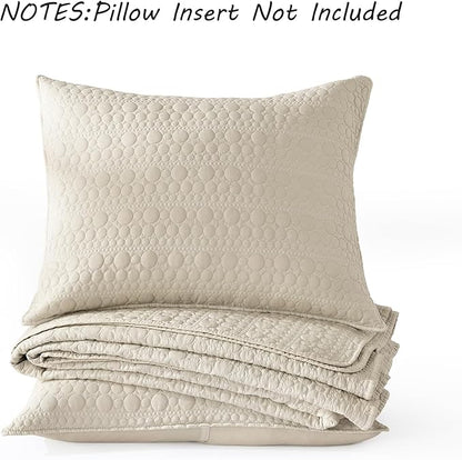 HORIMOTE HOME Quilt Set Queen Size Light Beige, Soft Lightweight Pre-Washed Microfiber Circle Stitches Queen Quilt Bedding Set, All Season Spring Summer Bedspread Coverlet, 2 Pillow Sham, 90x96 Inches