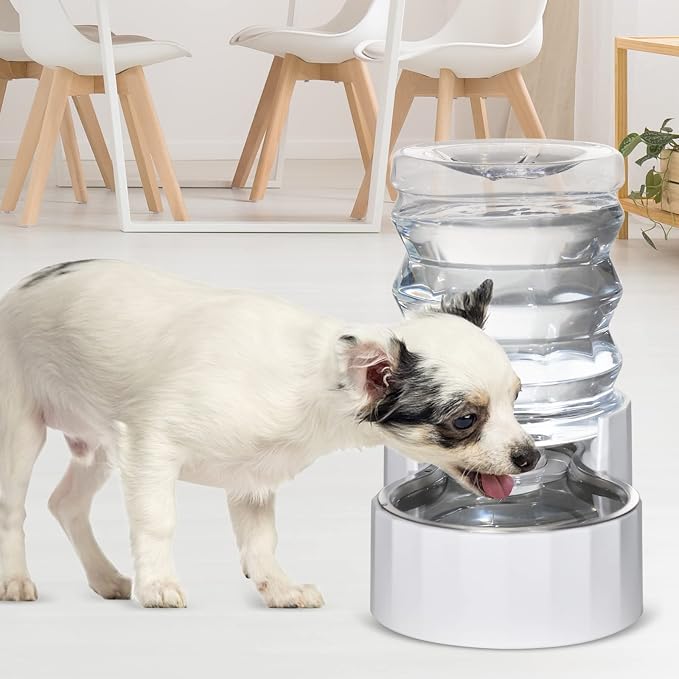 RIZZARI 5L Gravity Cat Water Dispenser: Filtered for Small Pets | Reduced Refills / Stainless Steel Bowl / Anti Splash Base /BPA-Free Materials/ Easy Cleaning / Kitchen Living Room Use