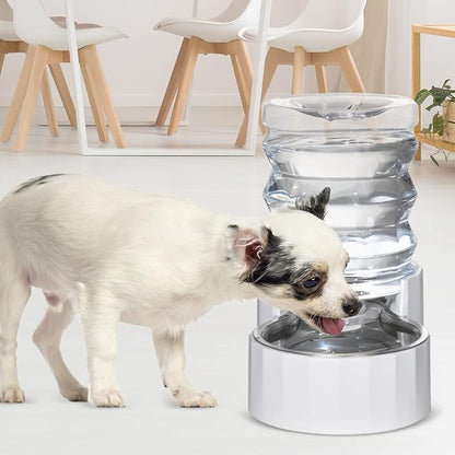 RIZZARI 5L Gravity Cat Water Dispenser: Filtered for Small Pets | Reduced Refills / Stainless Steel Bowl / Anti Splash Base /BPA-Free Materials/ Easy Cleaning / Kitchen Living Room Use
