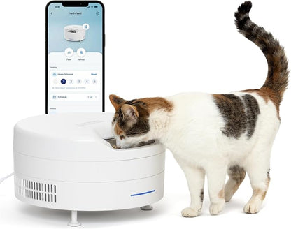 PetSafe FreshFeed Refrigerated Automatic Wet Food Feeder, 6 Meals, White | 40F Dual Semiconductor Cooling, Keeps Wet Food Fresh, Automatic 6-Meal Rotating Tray, App-Controlled Scheduling