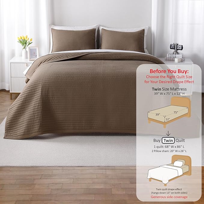 Twin Quilt Set – 68"x86" Soft Washed 3-Layer Lightweight Bedspread with Multi-Lock Quilting, Minimalist Nordic Bedding, All-Season Quilt for Spring, Summer & Fall (1 Quilt + 2 Pillow Shams), Cub