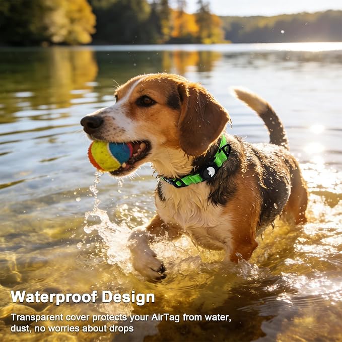 Taglory AirTag Dog Collar with Waterproof Holder for Small Dogs, Green, S | Reflective for Night Walks & Low-Light Safety, Track Your Pup Peace of Mind, Adjustable Soft Padded, No More Dangling Tags