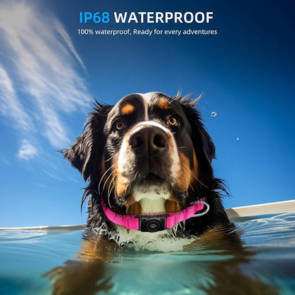 Upgrade Dog Collar with AirTag Holder, IP68 Waterproof, Hot Pink, XS | Built-in Water Resistant AirTag holder, 1000D Nylon, Reflective Stitching for Night Visibility, Soft padding for Comfort