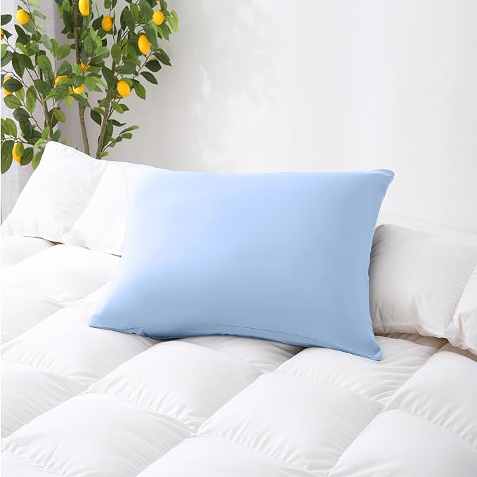 ZPECC Pillow Cases Queen Size Set of 4, 20x30 Envelope Closure Pillowcases, Soft Plain Brushed Microfiber Covers Hypoallergenic Breathable, Light Blue