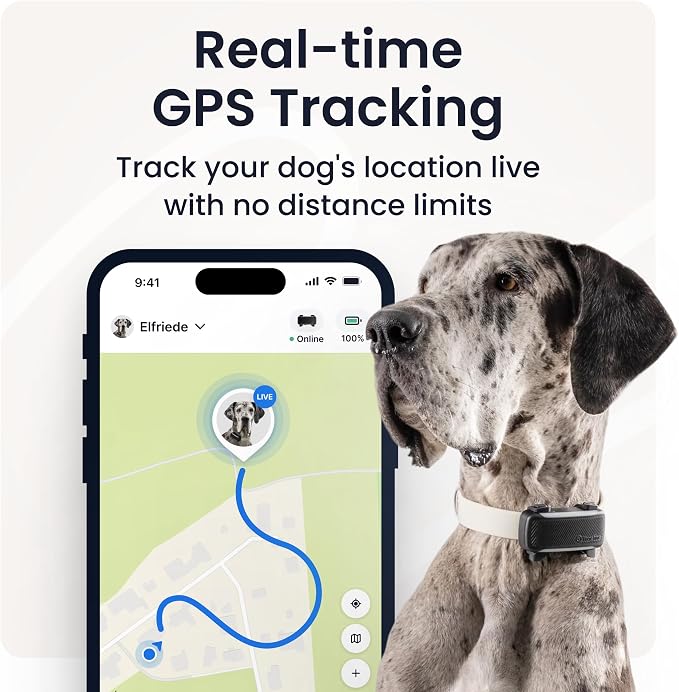 Tractive XL Smart Dog GPS Tracker | Live Pet Tracker with Virtual Fence | Vital Signs Monitoring of Heart & Respiratory Rate | Up to 6-Weeks Battery Life | Dog Collar Attachment (Brown)