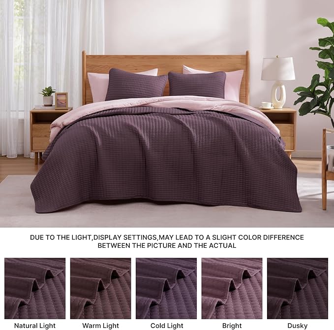 WRENSONGE Queen Quilt-3 Pieces Lightweight Bedspreads Italian Plum Queen Size Quilt Bedding Set for All Seasons, Soft Summer Coverlet with 2 Pillow Shams Suitable for Bed, Couch