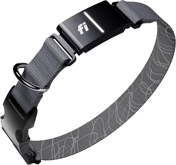Fi Series 3+ GPS + Health Dog Collar, Gray, Small, 12-Month Membership | Smart GPS dog collar with live tracking, health & behavior, Escape Alerts, LED light. Waterproof and Apple Watch compatible.