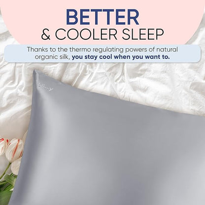 Blissy Silk Pillowcase - 100% Pure Mulberry Silk - 22 Momme 6A High-Grade Fibers - Silk Pillow Cover for Hair & Skin - Regular, Queen & King (Silver, Queen)