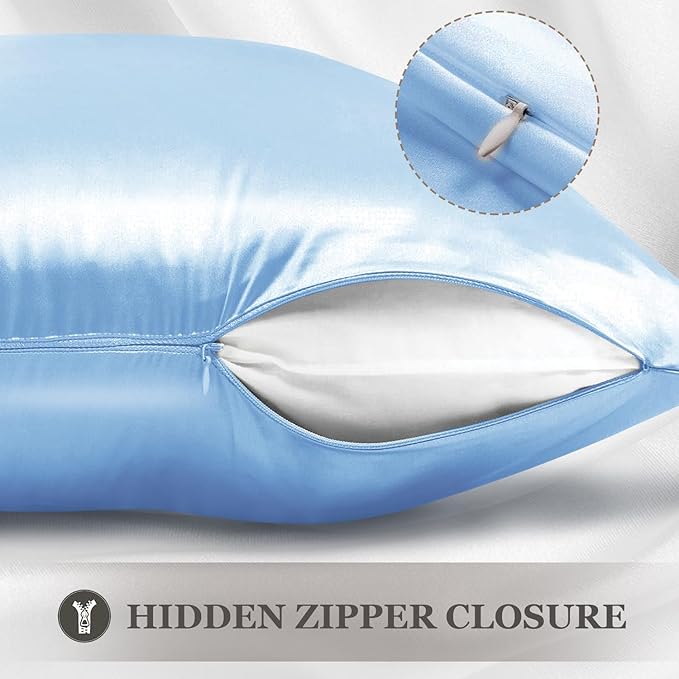Adubor 100% Mulberry Silk Pillowcase for Hair and Skin with Hidden Zipper, Both Side 22 Momme Silk, 900 Thread Count (20x26inch, Standard Size, Sky Blue, 1pc)