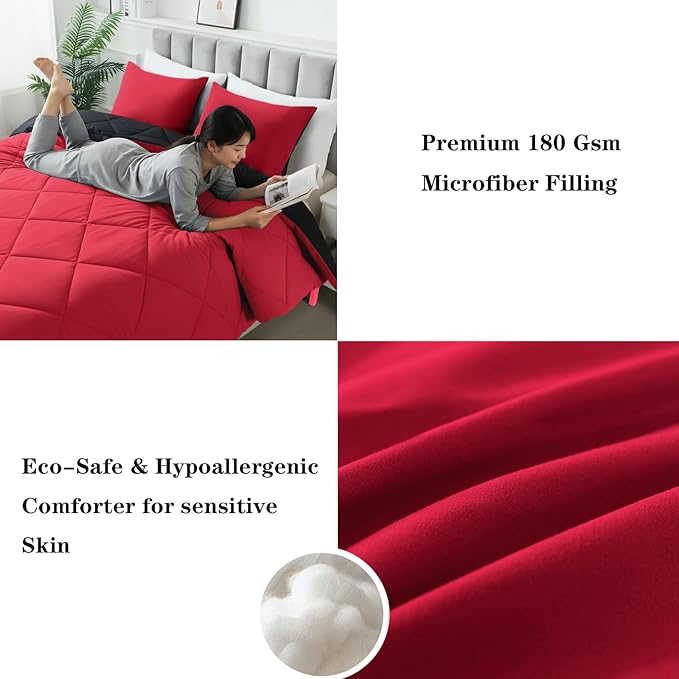 3-Piece King Comforter Set,All-Season,Soft & Hypoallergenic &Breathable Bedding,Polyester Quilted,Down Alternative(Comforter*1 & Pillowcases*2),Black/Bright Red